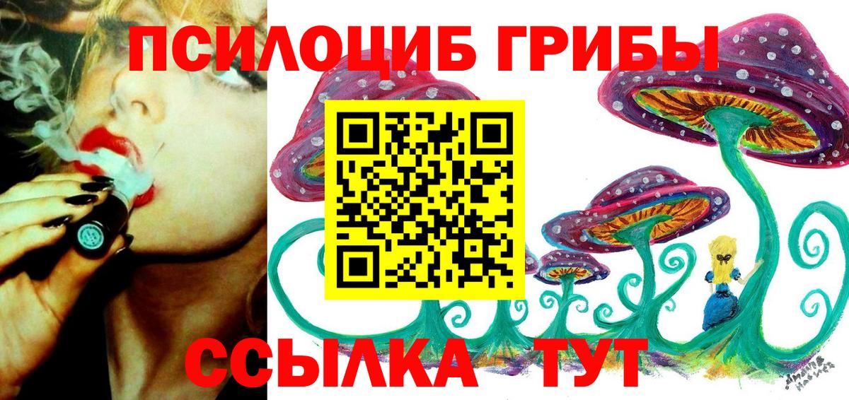 Галлюциногенные грибы Cubensis  Псилоцибиновые грибы MAGIC MUSHROOMS  Вход с VPN  Конаково 